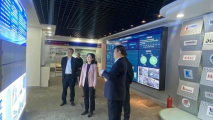 李敏來六安開發(fā)區(qū)調(diào)研督導(dǎo)紀檢監(jiān)察工作與科技推廣應(yīng)用服務(wù)